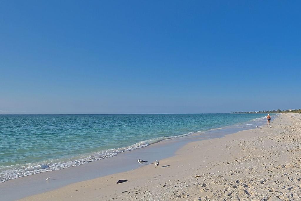 A Beach Retreat On Casey Key Venice Exterior photo